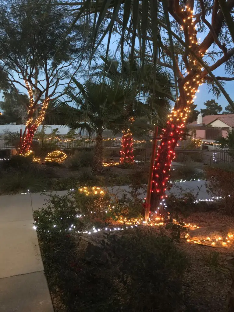 tree with lights to show Christmas event at nv memory care